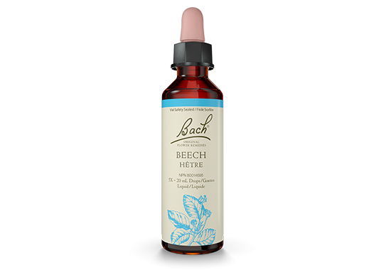 Bach® Beech 20ml