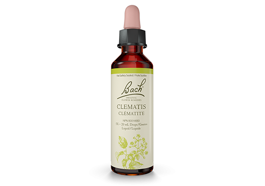 Bach® Clematis 20ml