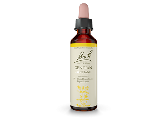 Bach® Gentian 20ml