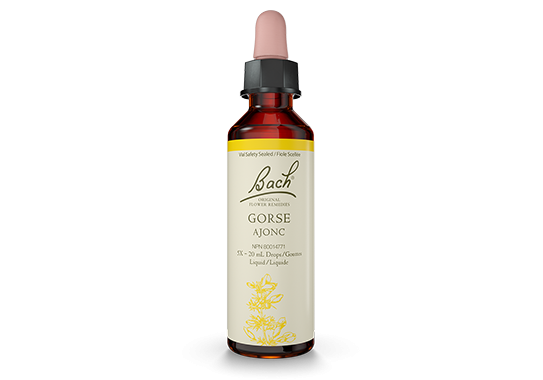 Bach® Gorse 20ml