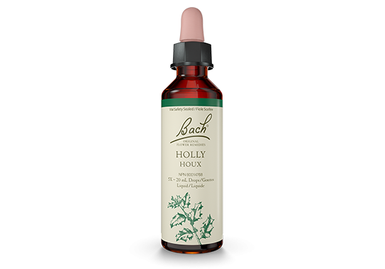 Bach® Holly 20ml