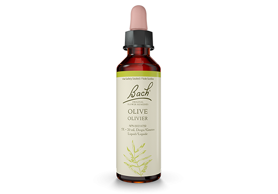 Bach® Olive 20ml