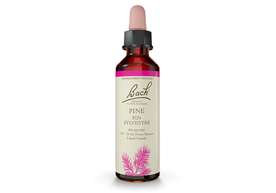 Bach® Pine 20 ml