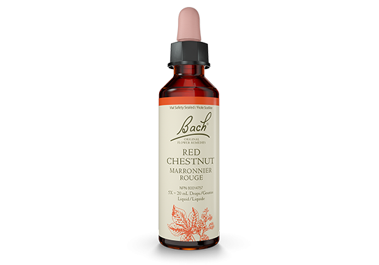 Bach® Red Chestnut 20 ml