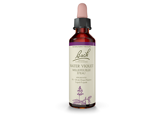 Bach® Water Violet 20 ml